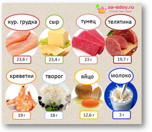 Белок содержится в продуктах животного происхождения, но не только.