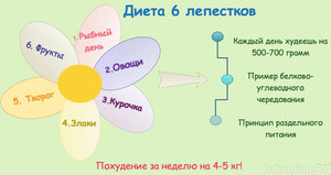 Как соблюдать диету