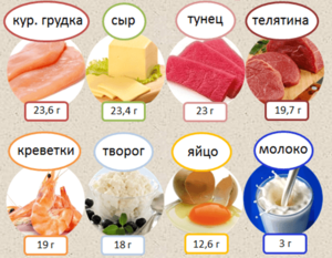Список продуктов богаты растительным белком