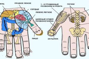 В чем секрет суджок терапии