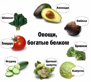 Какие продукты употреблять при белковой диете