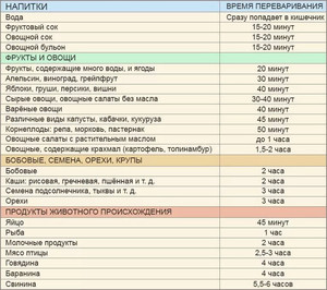 Пищеварение в желудке