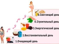 Особенности диеты лесенки