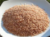 Пловный рис