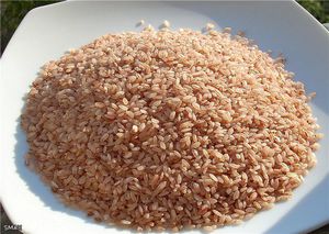 Пловный рис