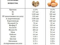 Полезные вещества разных видов яиц