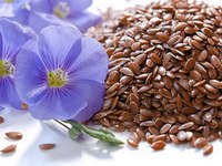 Как принимать семена льна для похудения