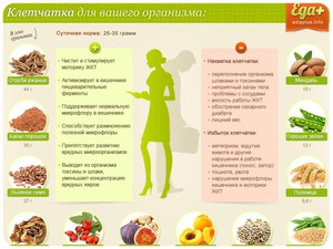 Продукты богатые клетчаткой