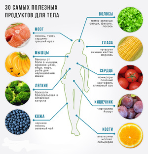 Основы правильного питания
