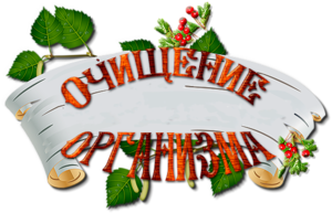Чистка оргиназма от шлаков