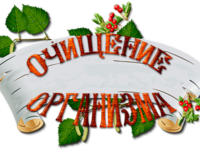 Чистка оргиназма от шлаков